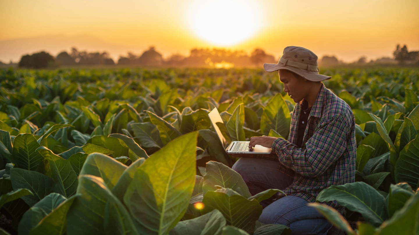 farmer in his field working on his laptop farmer in his field working on his laptop